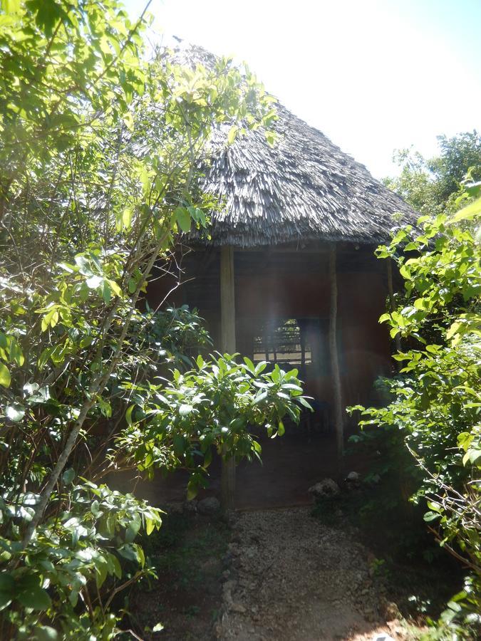 Wasini Island Bandas Экстерьер фото