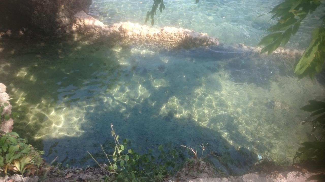 Wasini Island Bandas Экстерьер фото